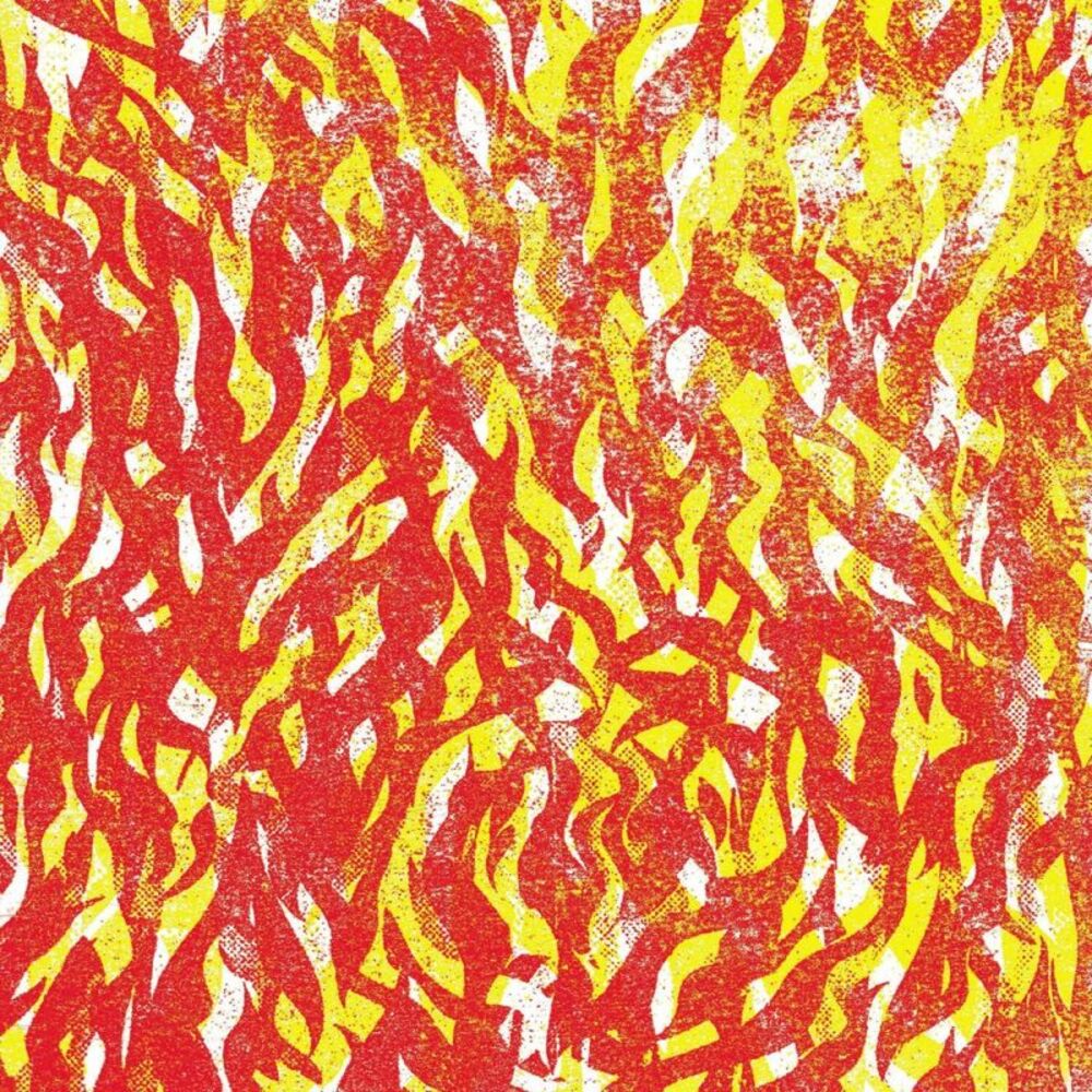The Bug - Fire  LP LP